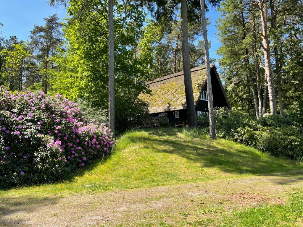 una casa con techo de hierba y algunas flores en Ferienhaus mit Teich auf 16.000m² in der Natur en Hermannsburg