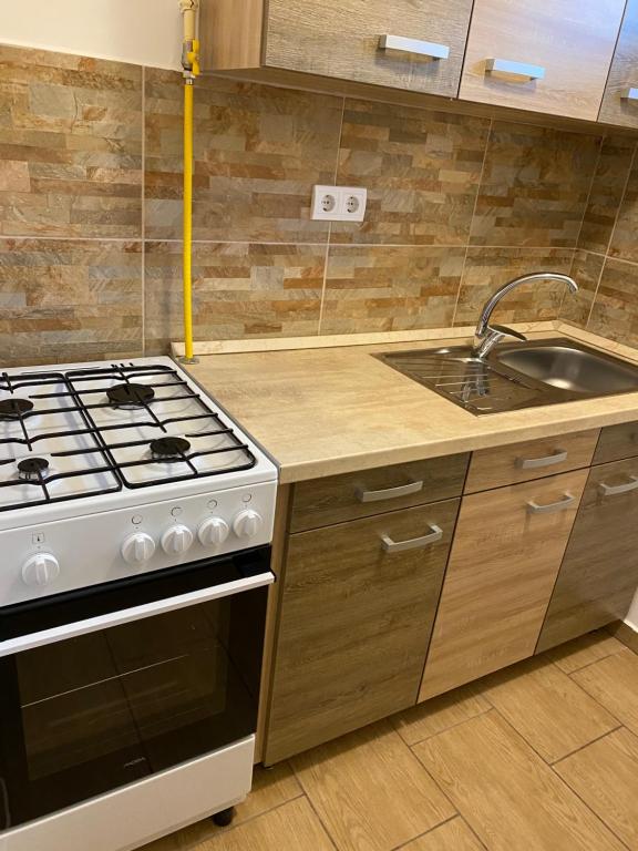 Kuchyň nebo kuchyňský kout v ubytování Riviéra Apartmanok