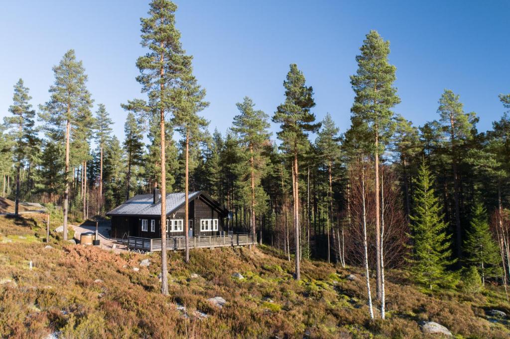 una casa en una colina en el bosque en Gezellige woning met hottub en sauna en Vradal