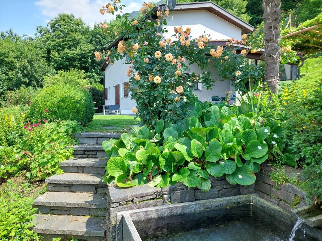 un jardín con una pared de retención con flores y plantas en La Stalla, en Magadino