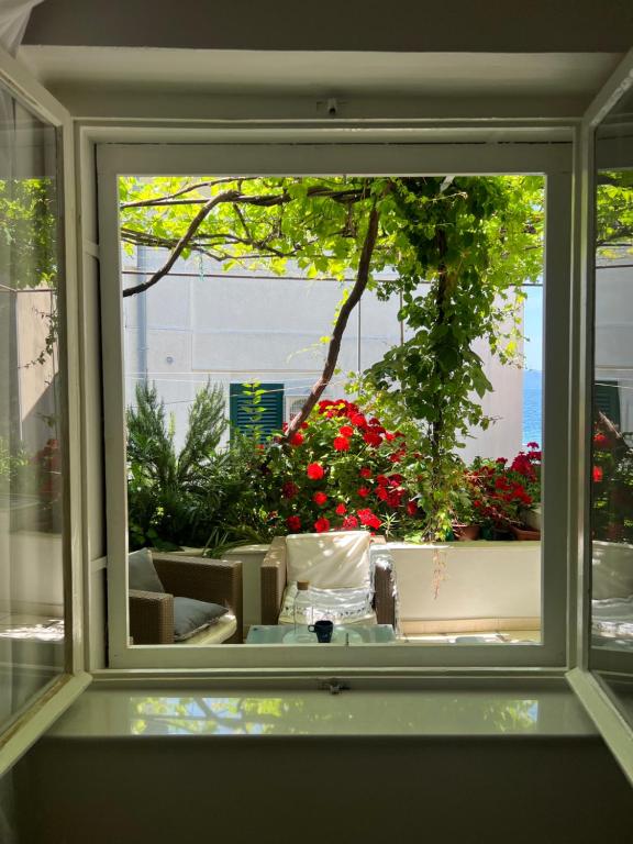 Zahrada ubytování Center town apartment Lipa Mala