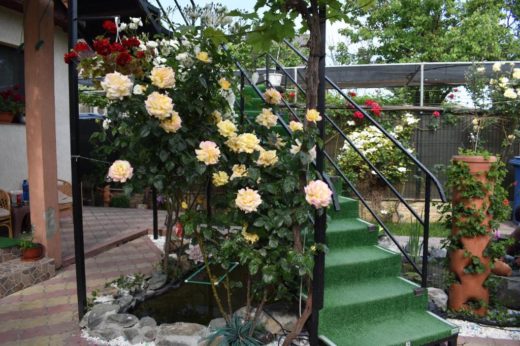 a garden with a bunch of flowers on the stairs at Vila MariCris in Tuzla
