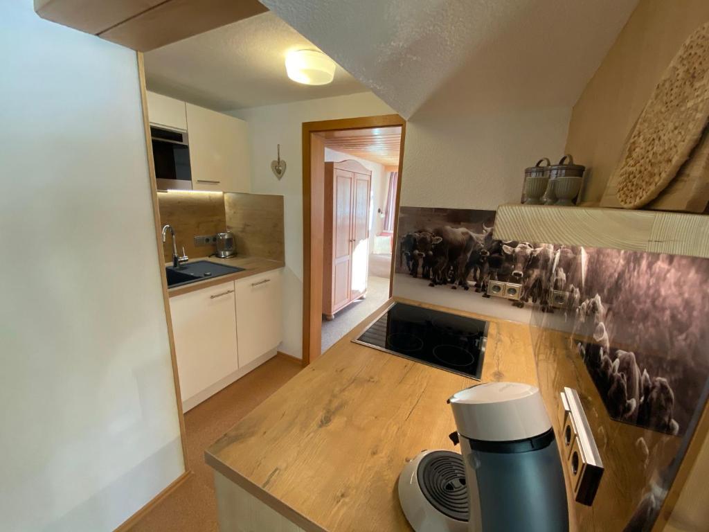 Kuchyň nebo kuchyňský kout v ubytování Gästehaus Nussbaumer