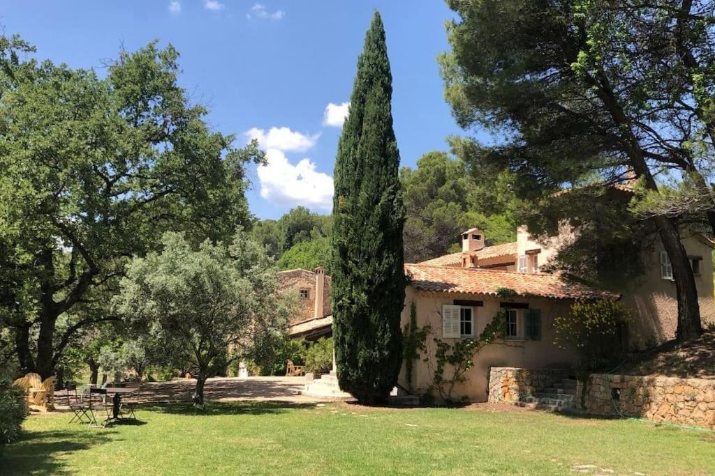 a house with a large tree in the yard at Domaine de Matourne in Flayosc