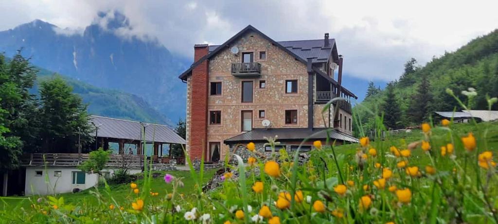 Příroda nedaleko hotelu
