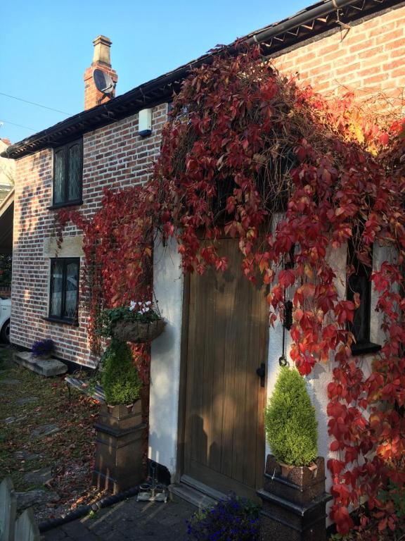a house covered in red ivy with a wooden door at Highway Cottage luxury B&B in Kilburn