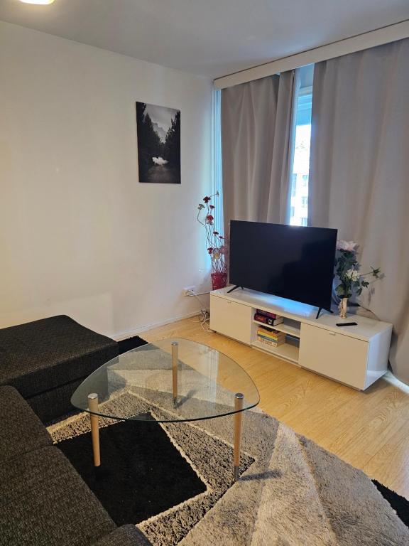 a living room with a couch and a flat screen tv at Comfortable 1 bedroom apartment in Helsinki in Helsinki