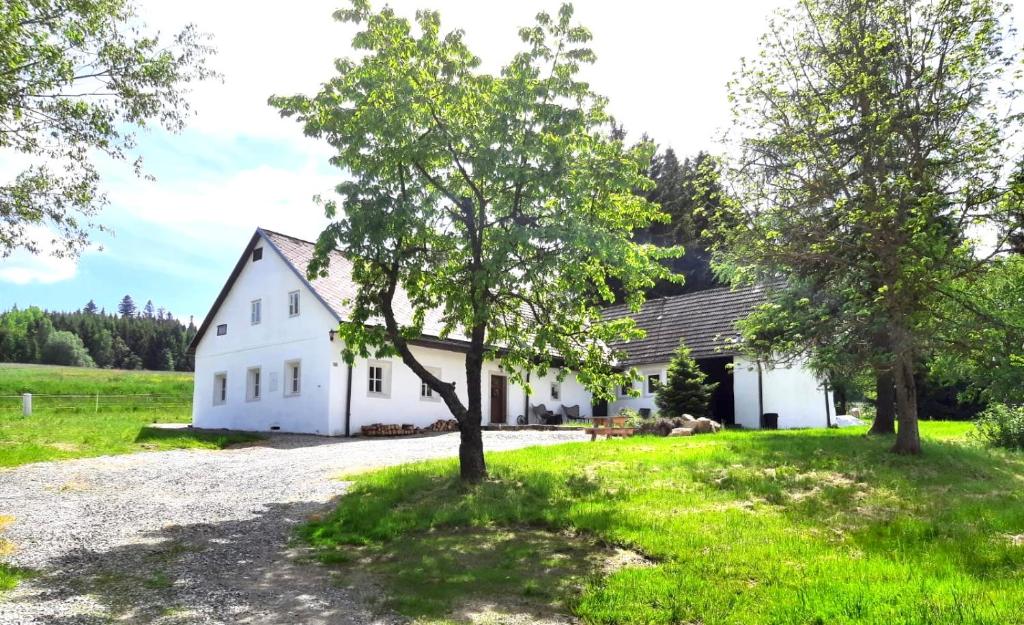 una casa blanca con árboles delante de ella en Romantická chalupa s krbem, en Hořice na Šumavě