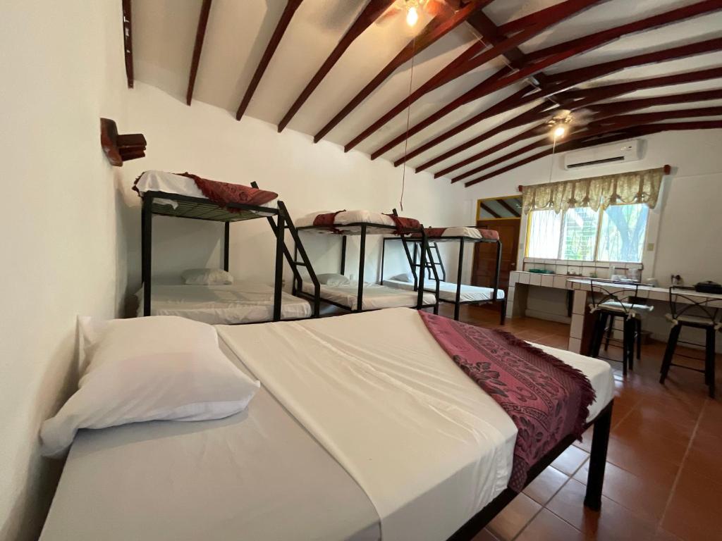 Tempat tidur susun dalam kamar di Mangroove EcoLodge