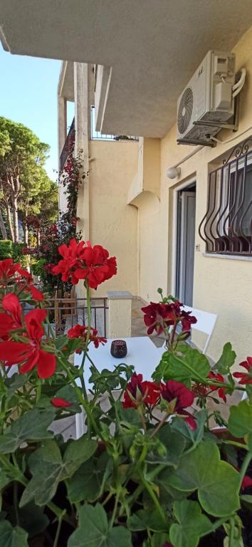 une table avec des fleurs rouges devant un bâtiment dans l'établissement marianthi's apartment, à Plataria