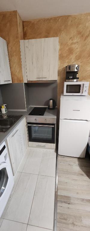 Kuchyň nebo kuchyňský kout v ubytování Colonel apartment 954