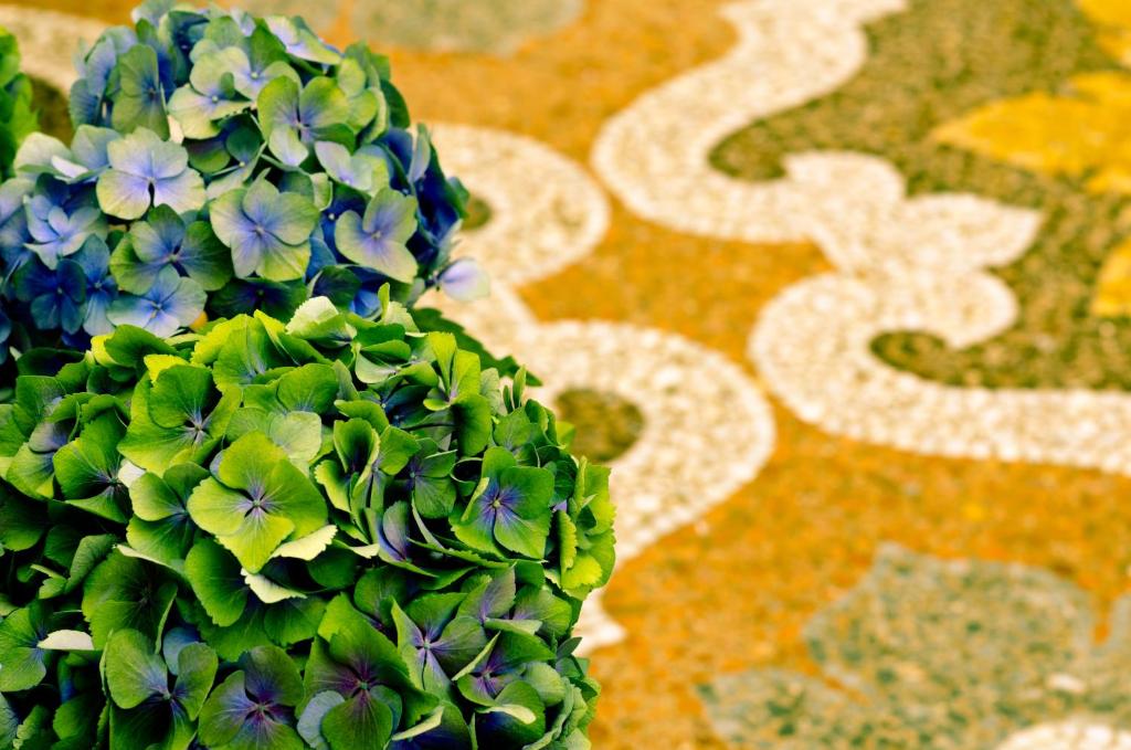 Hotel Suisse - Resim 6