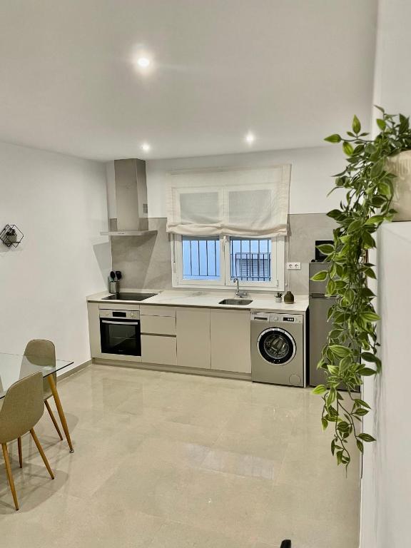 Kuchyň nebo kuchyňský kout v ubytování Apartamento Antonio