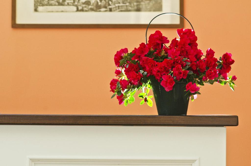 Hotel Suisse - Resim 23