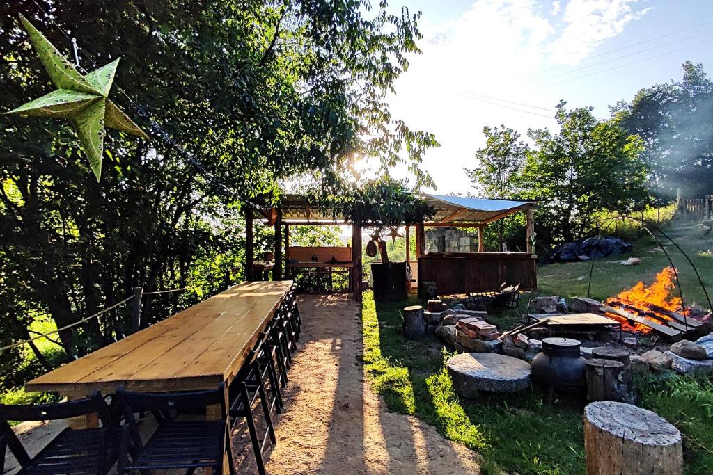 un tavolo da picnic e un barbecue in un cortile di Verde Água Agroturismo e Agricultura Biológica a Couto