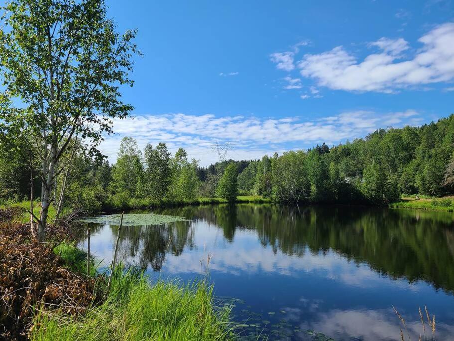 a view of a river with trees and a sky at Le Chouette Chalet in La Malbaie