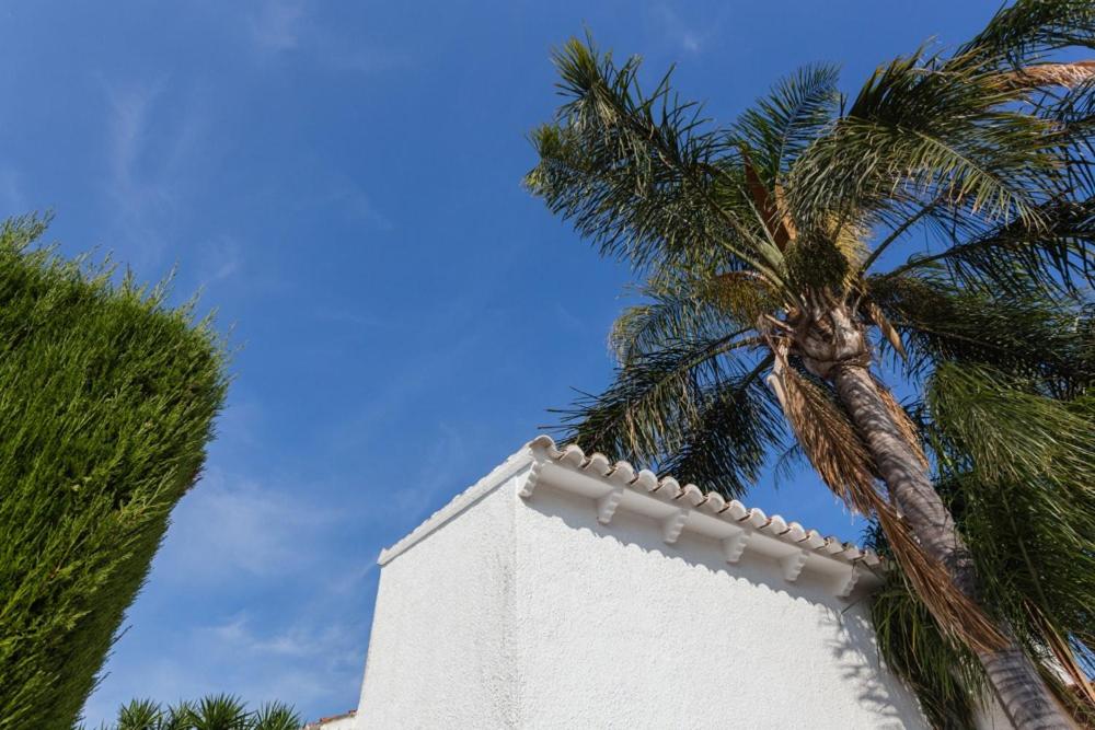 Casa Azahar y Casa Buganvilla, Gandía – Updated 2023 Prices