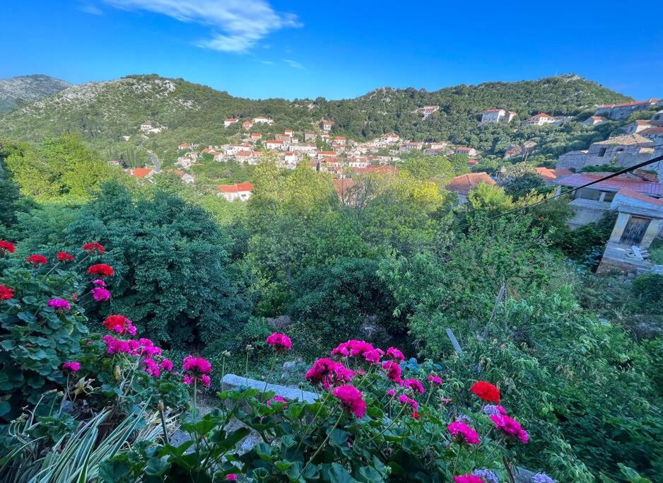 uma vista para uma cidade com flores cor-de-rosa numa colina em Studio Apartman Ana em Lastovo