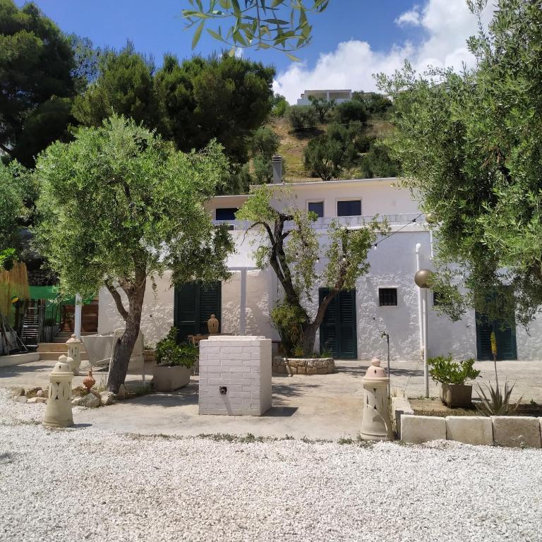 Mattinata – Photos 5
