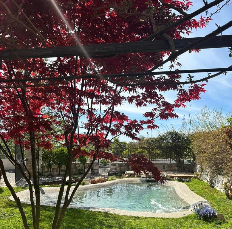 a swimming pool in a yard with a tree with red leaves at DOMUS PARVA - Villa con bio-piscina, spa privata e appartamenti panoramici in Bacoli