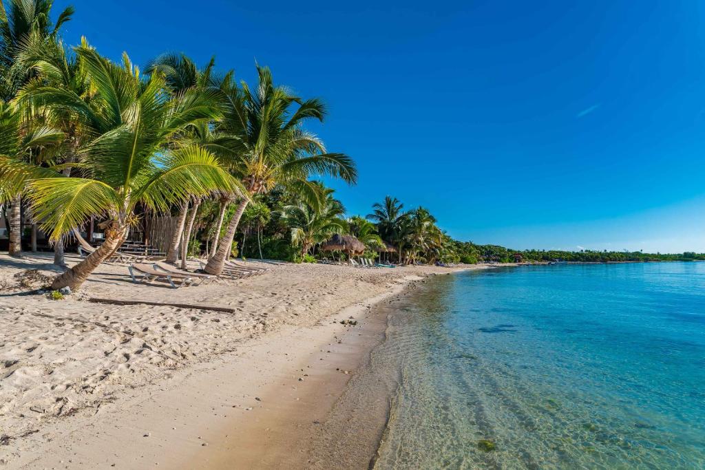 einen Strand mit Palmen und dem Meer in der Unterkunft Tulum Luxury Collection in Tulum