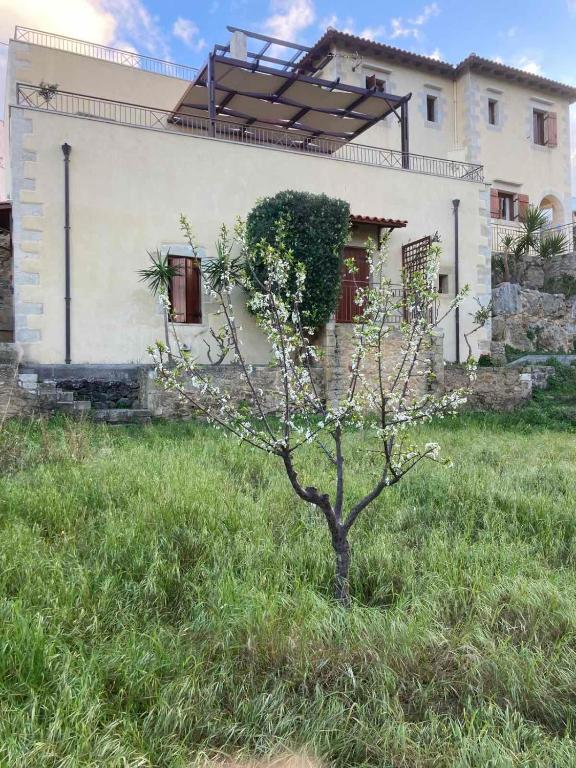 Fotografia z galérie ubytovania Patriko Villa v destinácii Kissamos
