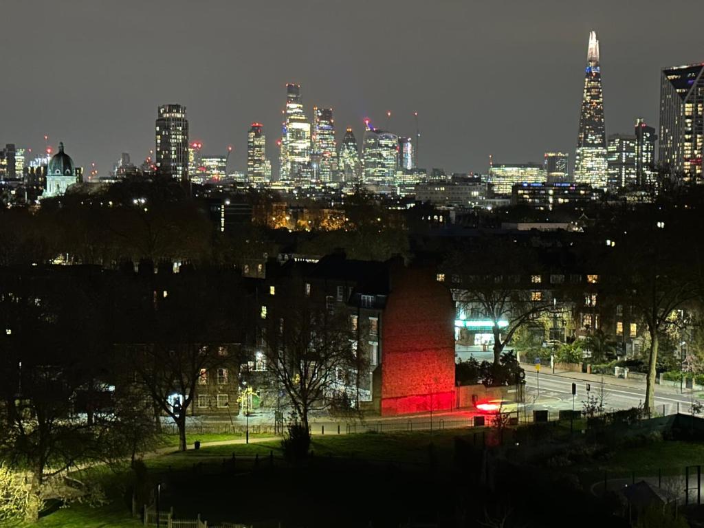 a view of a city skyline at night at Shard room in London