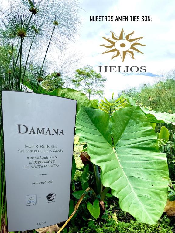 Certifikát, hodnocení, plakát nebo jiný dokument vystavený v ubytování Ecohotel Alma