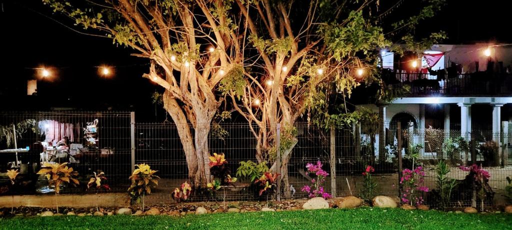 un árbol frente a una valla con flores en Mangal Suites en Brisas de Zicatela