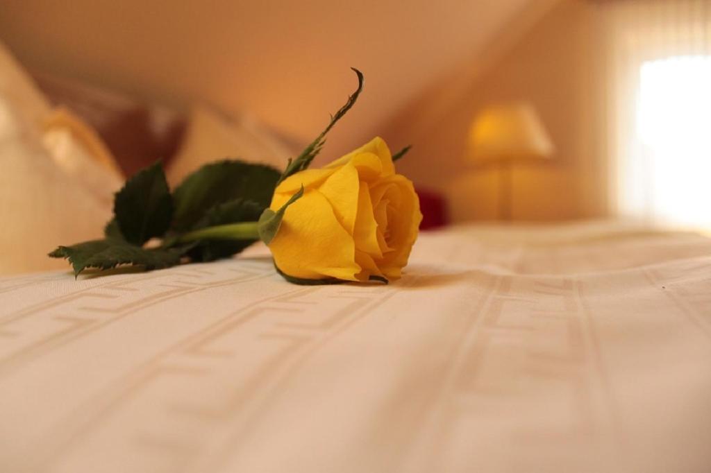 Landgasthof Hoffmann GbR - 5