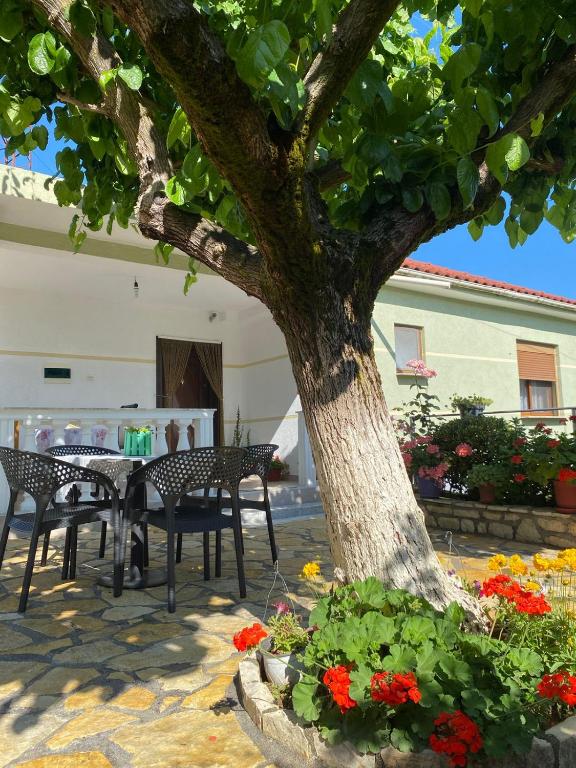 Vjosa Guest House - Image 8