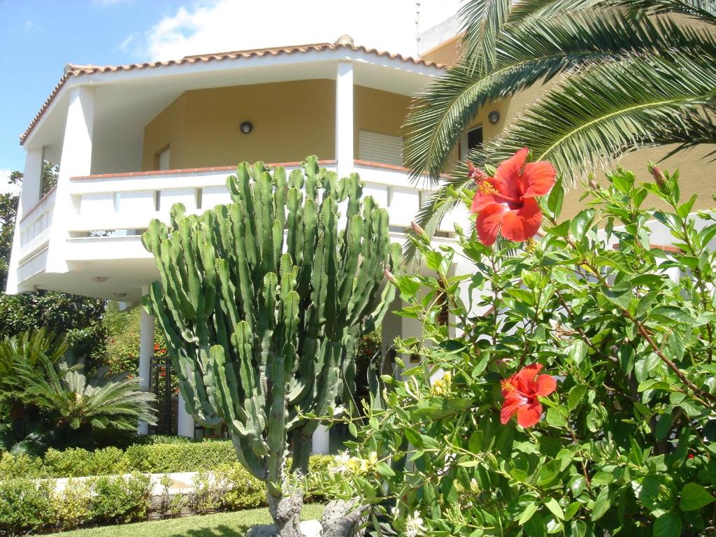 a house with a cactus and flowers in front of it at Sea's Chalet in Fontane Bianche