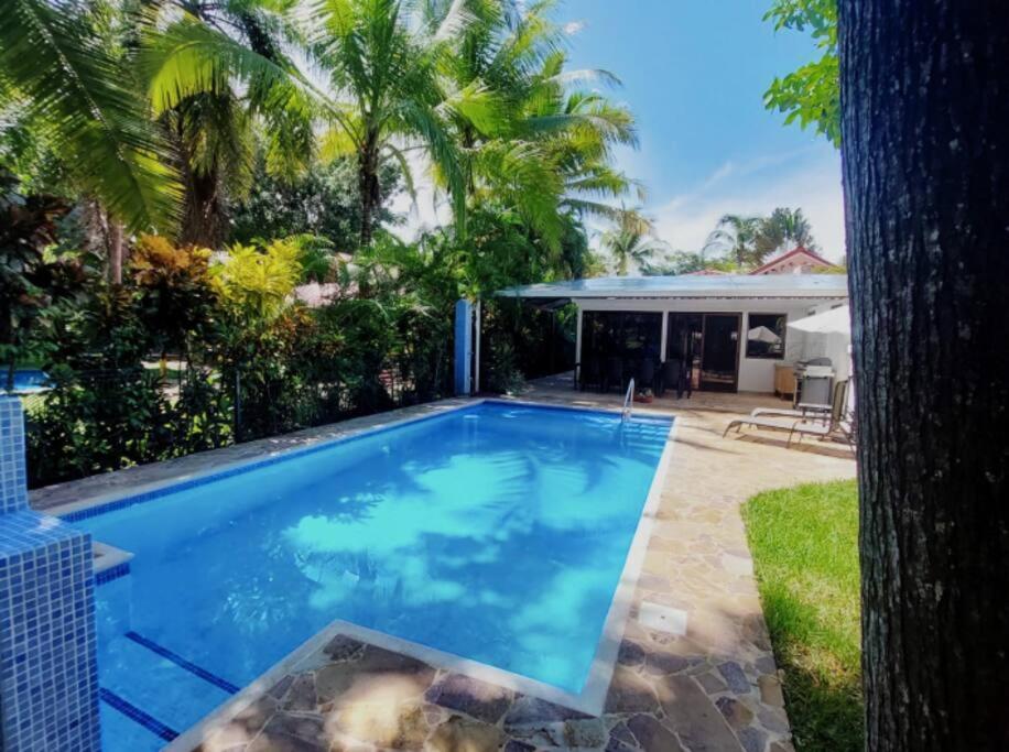 a swimming pool in a yard with a palm tree at Golf Beach House w/ Pool (5 min. walk to beach!) in Tambor