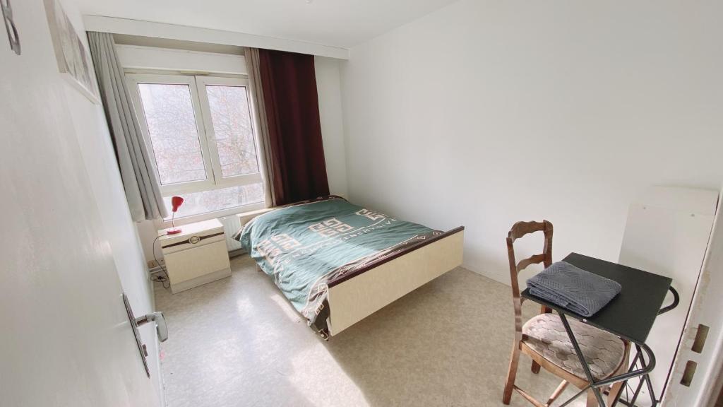 ein Schlafzimmer mit einem Bett, einem Stuhl und einem Fenster in der Unterkunft Nancy hyper centre, chambre privé chez l'habitant en colocation in Nancy