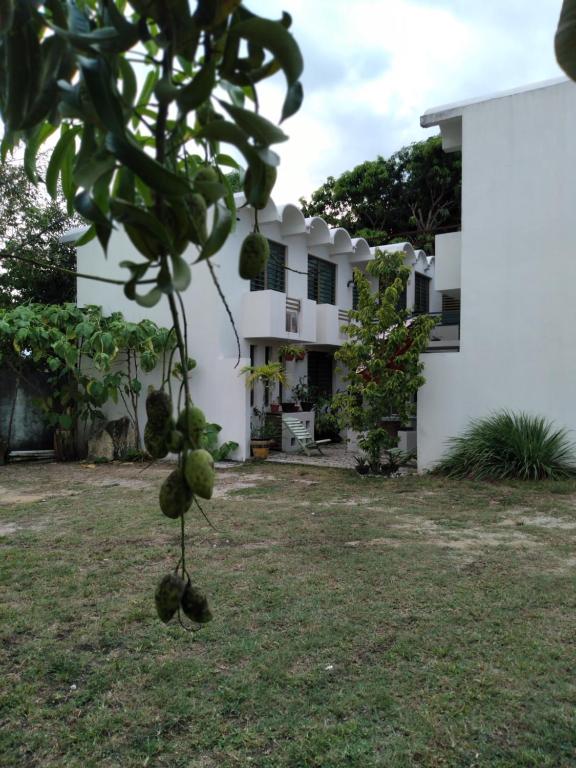 Departamentos de la Reina Roja - Apartment Mit 1 Schlafzimmer