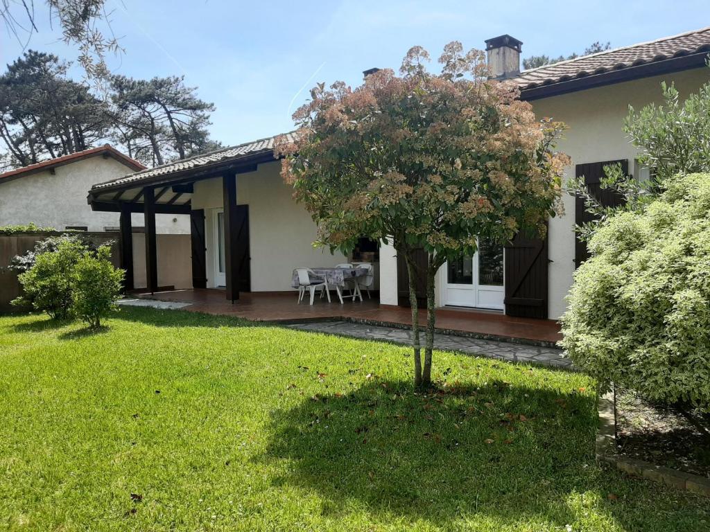 une maison avec un arbre dans la cour dans l'établissement Maison 4 chambres avec jardin clos, proche plage et centre, à Vieux-Boucau - FR-1-239-964, à Vieux-Boucau-les-Bains
