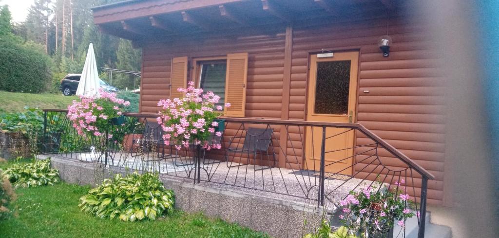 Zahrada ubytování Ferienwohnungen Miklautsch