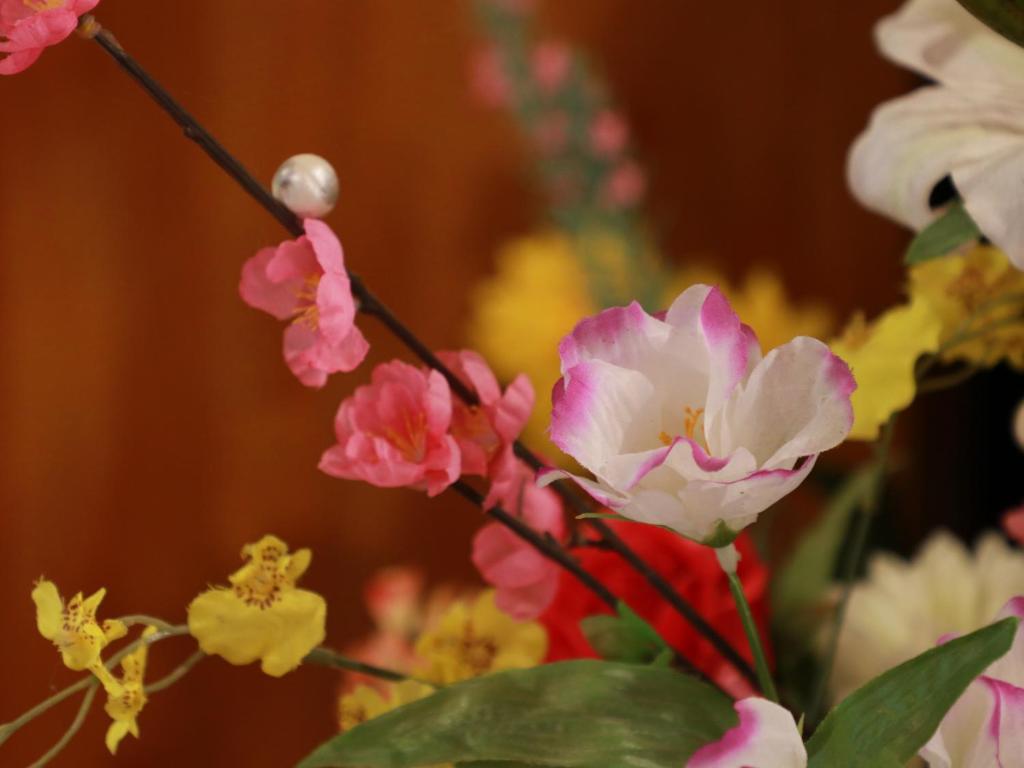 Fotografie z fotogalerie ubytování 丸山鉱泉旅館 v destinaci Nitanzawa