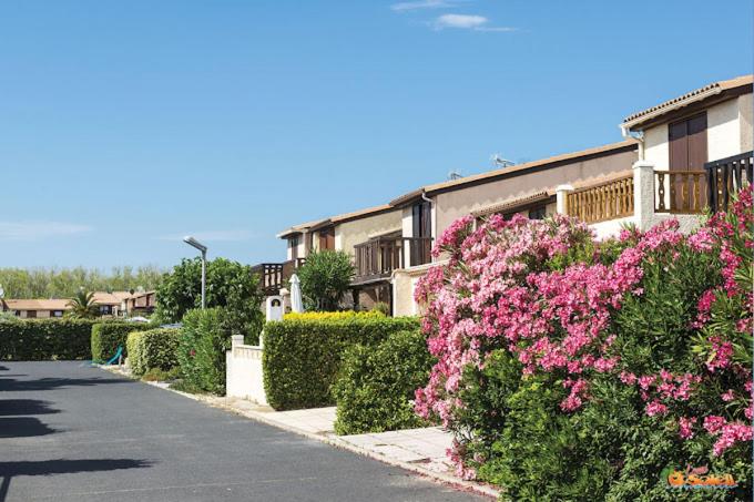 una fila de arbustos con flores rosas delante de un edificio en Domaine Les Tamaris - Portes du Soleil - Villa 3 chambres avec Jardin - Climatisation - Accès Animations et Piscines inclus !, en Portiragnes