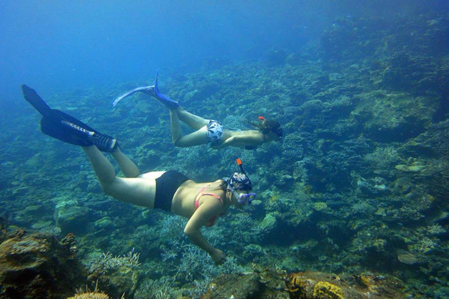 two people are swimming in the ocean on the reef at Cabanon du Pêcheur, Parc National des Calanques in Marseille