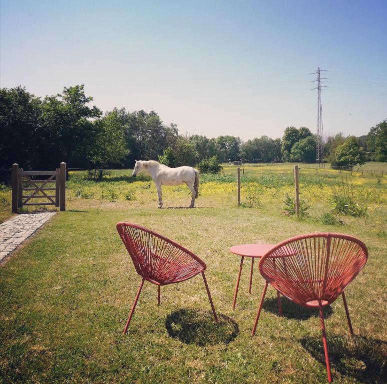 un cheval debout dans un champ avec deux chaises et une table dans l'établissement B&B Roos 14, à Waanrode