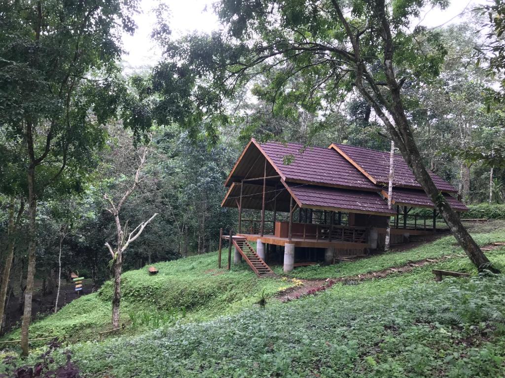 a house with a red roof on a hill at Joben Ecolodge in Tetebatu