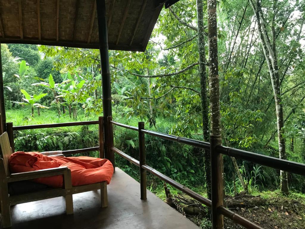 Zahrada ubytování Joben Ecolodge