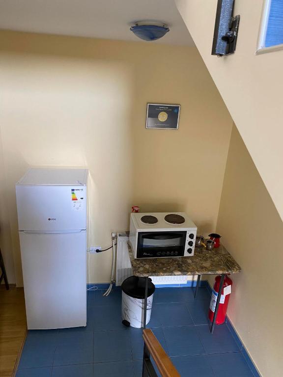 Kuchyň nebo kuchyňský kout v ubytování Guest House Trajkovic Jagodina
