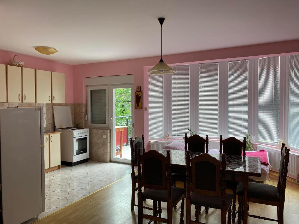 Kuchyň nebo kuchyňský kout v ubytování Guest House Trajkovic Jagodina