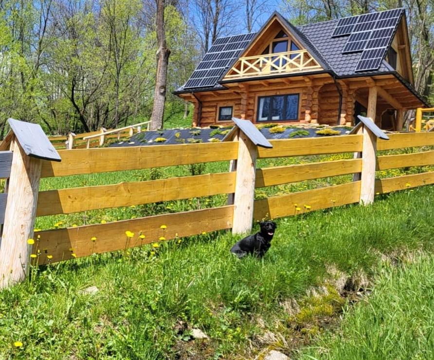 Vonkajšia záhrada v ubytovaní Kukulisko, wakacje 2025, wolne terminy, zadzwoń