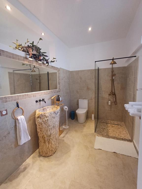 uma casa de banho com um chuveiro e um WC. em Philoxenia, maison et table d'hôtes em La Saline-Les-Bains