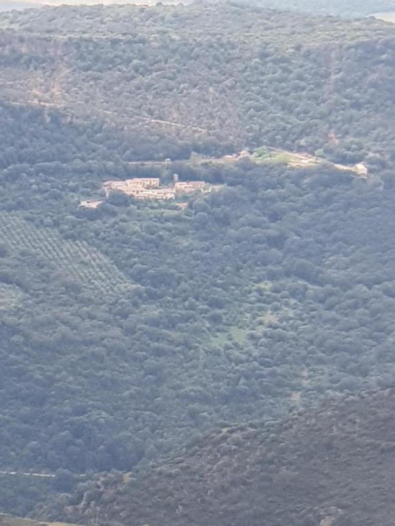 un'isola in mezzo a una foresta di alberi di Retreat village Benessere - Il borgo dei carbonai a Esterzili