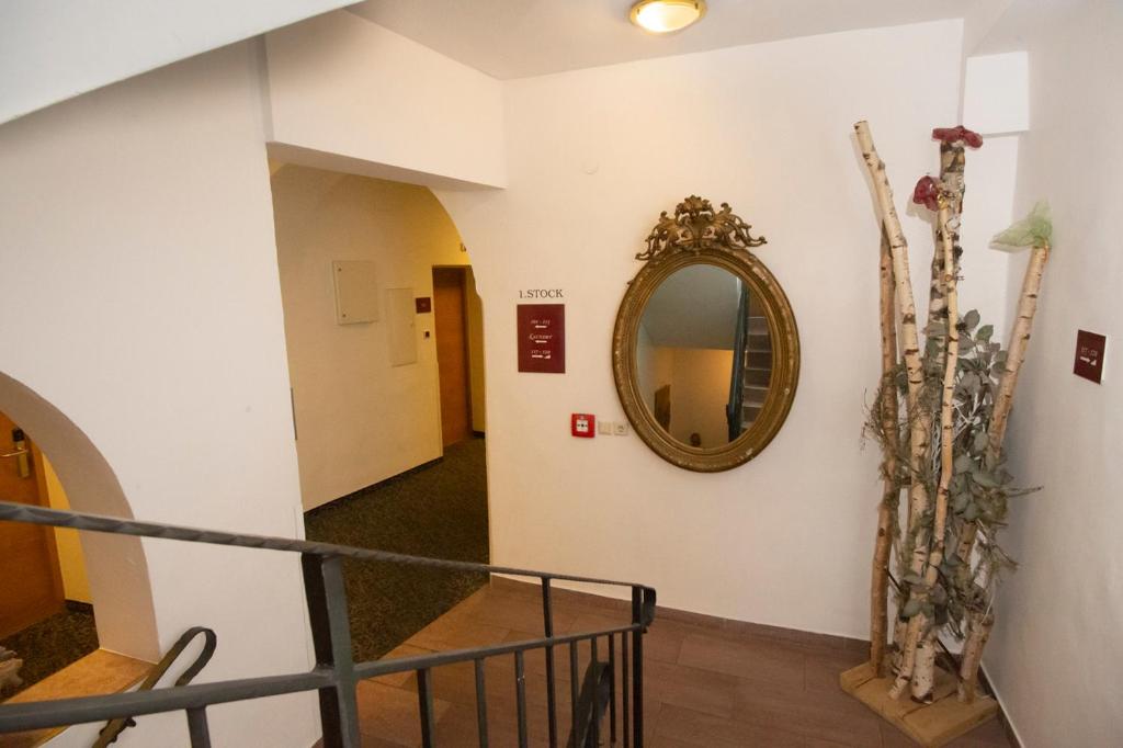 Dollinger - Resim 22