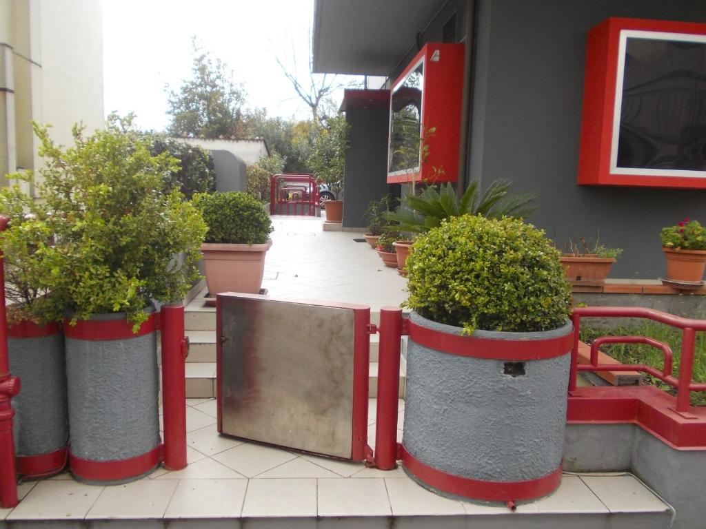 a group of potted plants sitting outside of a building at Scacco Rosso in SantʼEgidio alla Vibrata